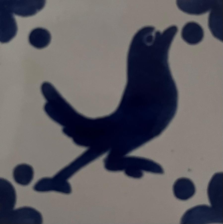 Habitacion Pajaro การ์ตามา ภายนอก รูปภาพ